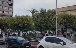 ‘Phố cam’ độc lạ tại Algeria