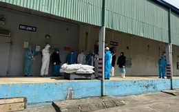 Danh tính 9 người bị khởi tố trong vụ hơn 130 tấn thịt heo nhiễm bệnh liên quan Đồ hộp Hạ Long