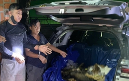 Hình sự Tây Ninh bắt 9 người trộm chó, thu giữ 1,6 tấn chó, tiếp tục mở rộng điều tra