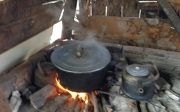 Mái ấm ngày xuân