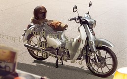 Honda Super Cub C125 2026 bổ sung phanh ABS, thêm màu mới