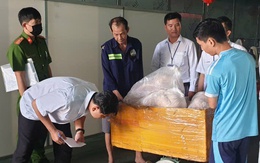 TP.HCM: Phát hiện 2 tấn thịt heo không rõ nguồn gốc, biến
đổi màu sắc