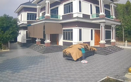 Con gái bật cười khi thấy phụ huynh lấy lá che xe ô tô