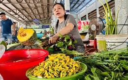 Giá cả đầu ngày: Rau đồng vào mùa, bông điên điển tăng giá; mãng cầu xiêm 90.000 đồng/kg
