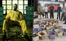 Giáo sư hóa học bị cáo buộc cầm đầu đường dây ma túy kiểu Breaking Bad