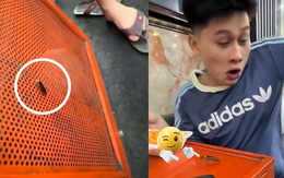 Nếu anh biến thành con gián em có yêu anh không?