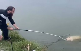 Cần thủ chán không buồn nói khi để sổng cá khủng