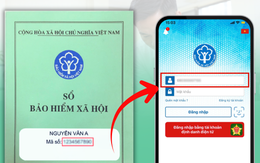 Cách tra cứu mã số bảo hiểm xã hội mới trên VssID 