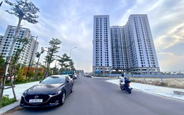 Đà Nẵng muốn đặt tên đường Trí tuệ nhân tạo, Vi mạch bán dẫn, Đổi mới sáng tạo