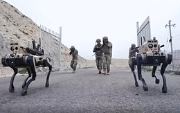 Khi robot tung hoành chiến địa - Kỳ 4: Robot sói trên chiến tuyến rực lửa