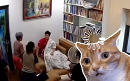 'Ngủ say như chết' là có thật!
