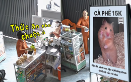 Tiệm cà phê bất ngờ hút khách mua thức ăn cho... chuột