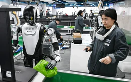Nghề lạ ở Trung Quốc: Dạy robot thay thế con người, kiếm 900 USD/tháng
