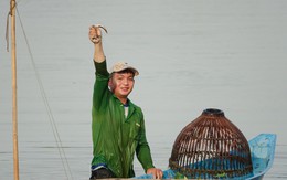 Đẩy côn, cất vó mùa nước nổi tràn đồng