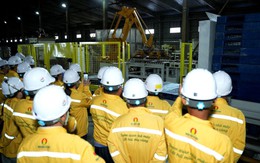 Phân Bón Cà Mau đón gần 1.500 nông dân tham quan nhà máy