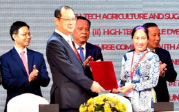 Thương mại Việt Nam - Hàn Quốc đạt 82 tỉ USD sau 8 tháng, tạo đà lần đầu vượt 100 tỉ USD