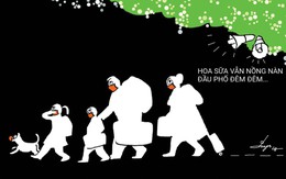 Hoa sữa vẫn nồng nàn đầu phố đêm đêm, có lẽ nào...