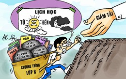 Lớp 6 mà lịch học kín như… lịch CEO