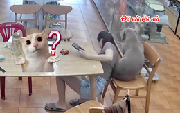Chú chó nổi cáu với cô chủ nhây