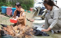 Tiếp sức đến trường: Không để ước mơ đại học của Nguyễn Thị Thúy Hương và Hà Thị Thu Hiền dang dở