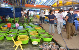Mũi Né lên kế hoạch chỉnh trang lại khu chợ Làng chài