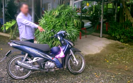 Chiếc xe máy cách hiện trường 500m phơi bày màn kịch mất trộm hơn 400 triệu đồng
