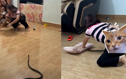 Màn bắt rắn bằng tay không của người phụ nữ khiến dân mạng trầm trồ