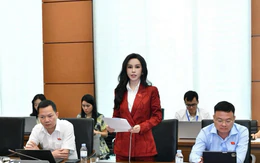 Đại biểu lo nâng tiền đặt cọc đấu giá bất động sản lên 50% làm hạn chế người mua có nhu cầu thực
