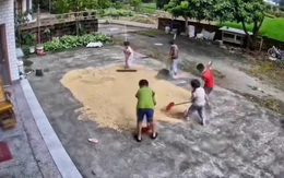 Các em nhỏ giúp nhau dọn lúa chạy mưa khi người lớn vắng nhà