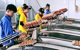 Ba Huân vướng nợ nần: Gia đình bà Ba Huân nói 'đã bán hết cổ phần, không liên quan các khoản nợ'