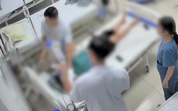 Người phụ nữ nguy kịch sau khi bị ong bắp cày đốt một vết, bác sĩ cảnh báo