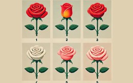 Quiz: Bạn là người thế nào?
