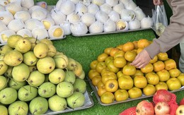 Giá cả đầu ngày: Cua biển xuống giá, người TP.HCM tranh thủ mua tận vựa; Hồng Đà Lạt về miền Tây giá từ 40.000 đồng/kg