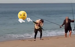 Pha bắt cá khi ai xem cũng 'tức cái lồng ngực'