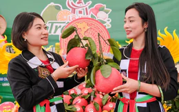 Bưởi Bắc Ninh xuất khẩu sang Nga, ổi sang Anh, trái cây còn dư địa nào?