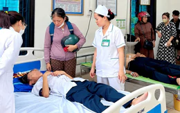 Học sinh nghịch ném đá tổ ong trong sân trường, 27 em bị ong đốt nhập viện