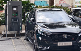 Xe điện thống trị doanh số, vì sao các hãng vẫn ồ ạt đổ bộ xe hybrid vào Việt Nam?