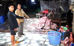 Đồng Nai bắt 9 người vụ thu mua, giết mổ 400 tấn heo bệnh bán làm thực phẩm