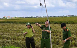 Ninh Bình xử lý hàng chục vụ bẫy bắt, nuôi nhốt chim hoang dã, khởi tố 1 bị can