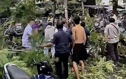 Cây phượng bật gốc đè chết người đàn ông đứng gần cổng bệnh viện ở TP.HCM 