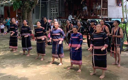 Nhất định tôi lại tới Chư Đăng Ya sống trọn vẹn mùa vàng hoa dã quỳ