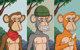 Quiz: Bạn nổi bật bởi sự sáng tạo hay trực giác nhạy bén?