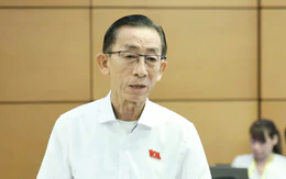 Đại biểu Trần Hoàng Ngân: Một bác sĩ giỏi vừa làm giám đốc, vừa phải quản lý bệnh viện, tổ chức đấu thầu có quá sức?