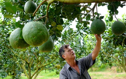 5 xã Lâm Đồng ra sao khi một phần đất phía nam thuộc về Đồng Nai?
