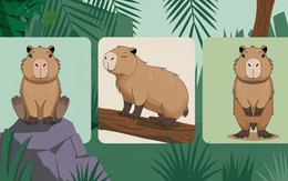 Quiz: Tính cách nổi bật nhất của bạn là gì?