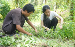 Tiếp sức đến trường 2026