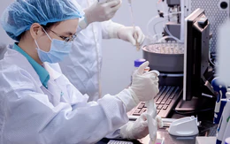 Việt Nam nghiên cứu thành công vắc xin viêm não Nhật Bản thế hệ mới