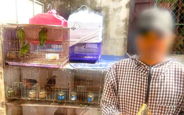 Buôn bán 36 con chim hoang dã, người đàn ông ở Ninh Bình bị khởi tố