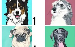 Quiz: Bạn là người như thế nào?