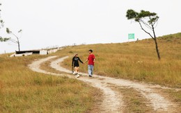 Ngắm đồi Phượng Hoàng ở Quảng Ninh vào mùa nhuộm vàng đất trời